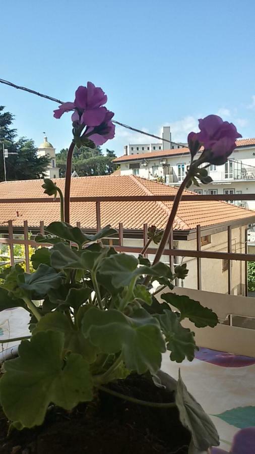 Casa Vacanza Xenia Agerola Buitenkant foto
