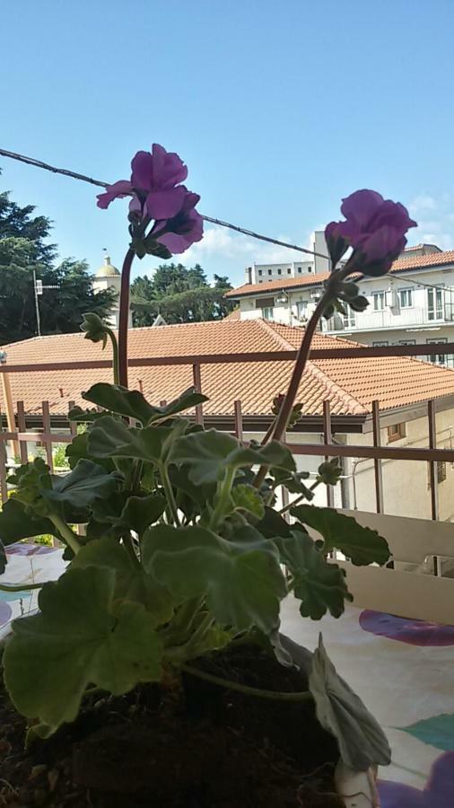 Casa Vacanza Xenia Agerola Buitenkant foto